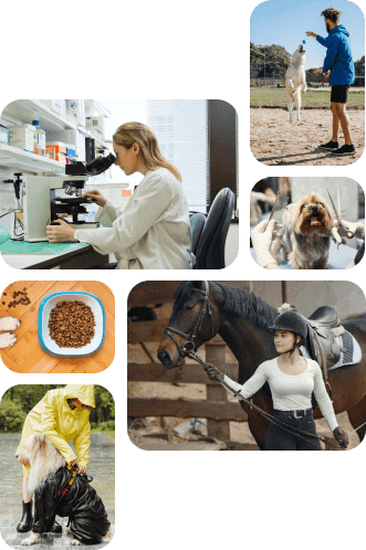 multiple_people_with_their_pets_Acurovet