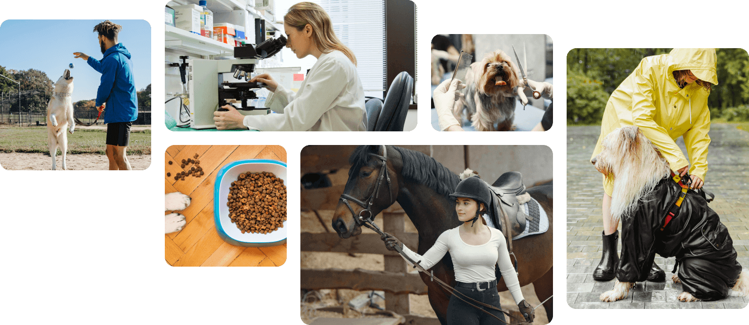 multiple_people_with_their_pets_acurovet_1