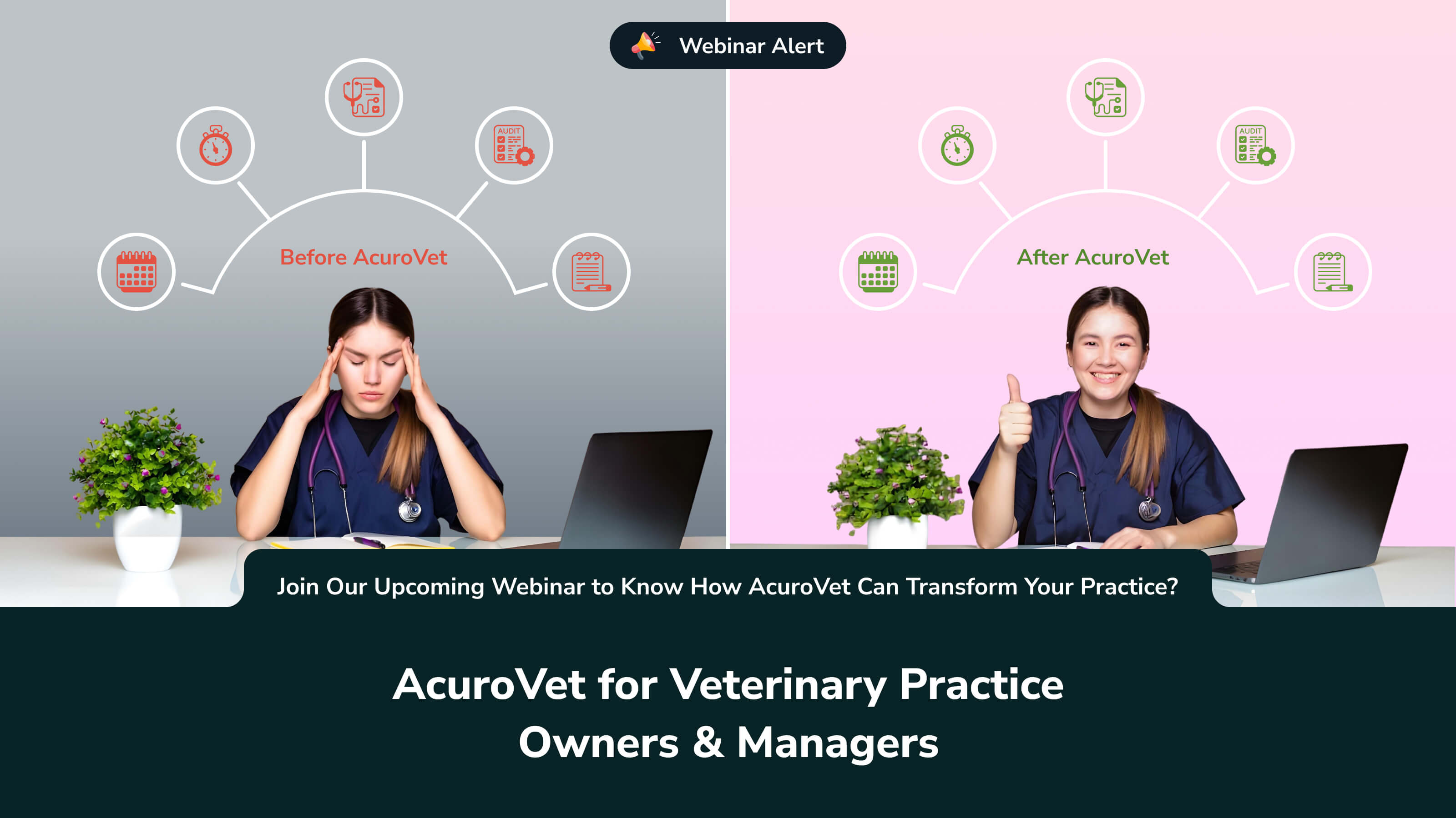 acurovet
