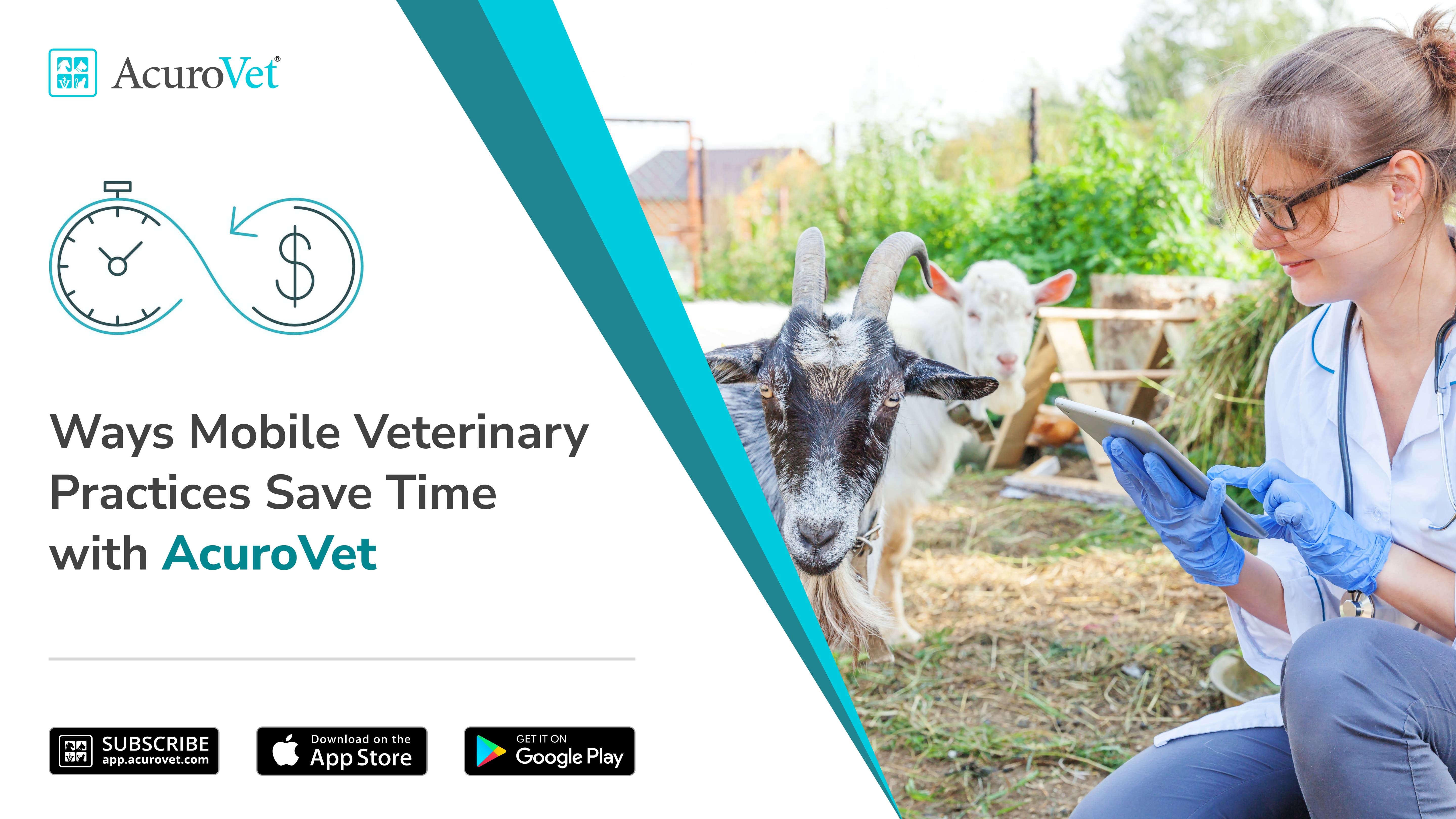 best_mobile_veterinary_software_to_save_time_for_mobile_vets